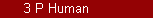skift til 3 P Human